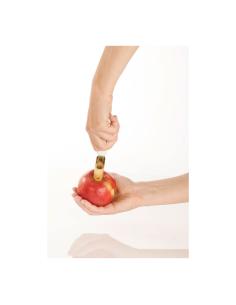 Vaciador de manzanas presto. tescoma 8595028425185 77773 TESCOMA 2