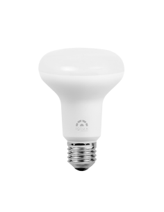 LÁMPARA R80 E27 12W 5500ºK