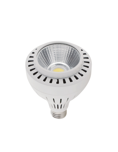 LÁMPARA LED 30W E27 PAR30 5500ºK