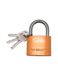 Candado de arco normal basic cn17, latón, 50 mm 8425998861129 86112 MICEL