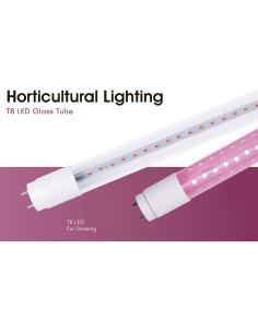 Tubo LED T8 8W, 60cm, PLANT GROW Full Spectrum, Crecimiento de plantas, IP65 2