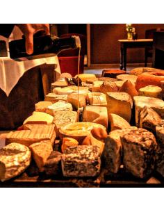 Tubo LED T8, 9W, 60cm, Quesos y fiambres 2