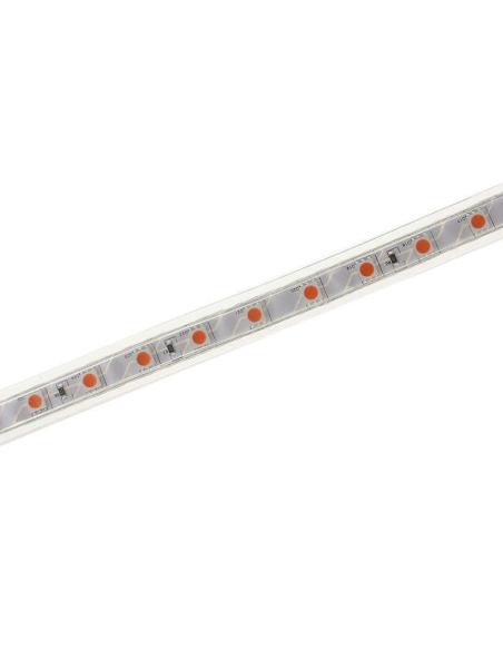 Tira LED 220V SMD5050, 60Led/m, 1 metro, PINK