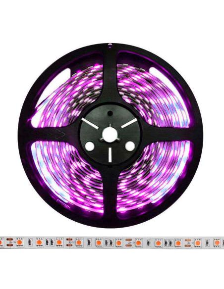 Tira LED SMD5050, DC12V, 5m (60 Led/m), ROSA - IP20