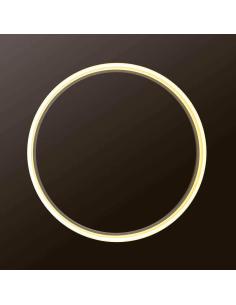 Luminaria colgante RING 43W, Ø60cm 2