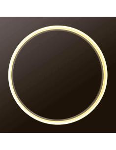 Luminaria colgante RING 50W, Ø80cm 2