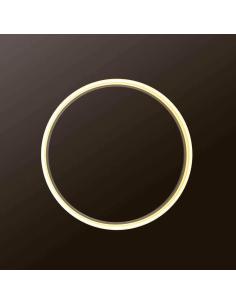 Luminaria colgante RING 28W, Ø40cm 2