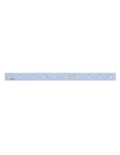Placa Led GOLUX 2