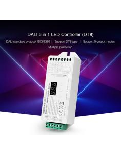 DALI Controlador DT8, 5 en 1 (MONO, CCT, RGB, RGBW, RGB+CCT) 2