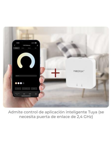 Controlador MINI 2.4G mono DC12-24V 6A