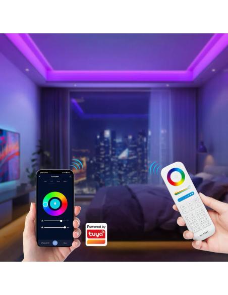 Controlador E3 - WiFi + 2.4G RF, DC12-24V, 12A, 3 en 1, RGB+RGBW+RGBCCT