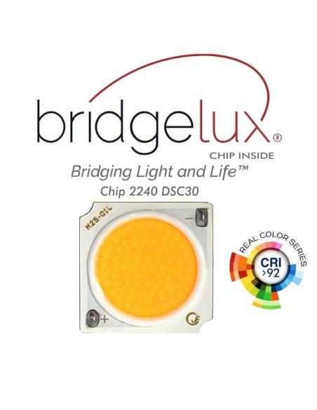 Foco carril Monofásico PIKE RAIL LED 3-5-7-9-12W, 3CCT, 15º-60º, blanco