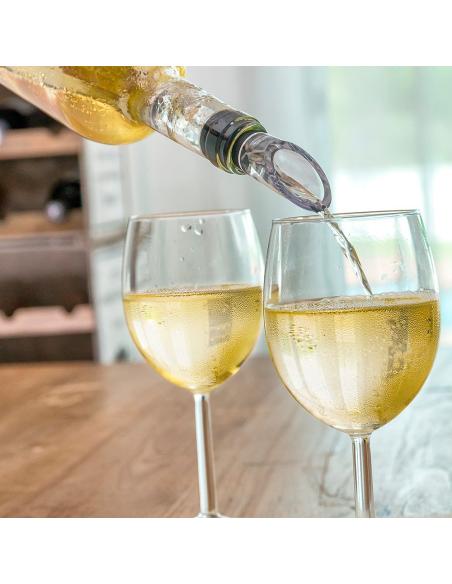 Enfriador de vino con aireador 8435527813505 56501 INNOVAGOODS